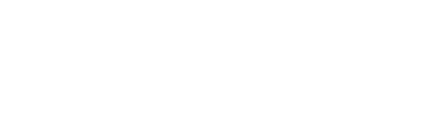 Audit & System Solutions