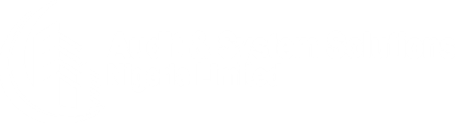 Audit & System Solutions